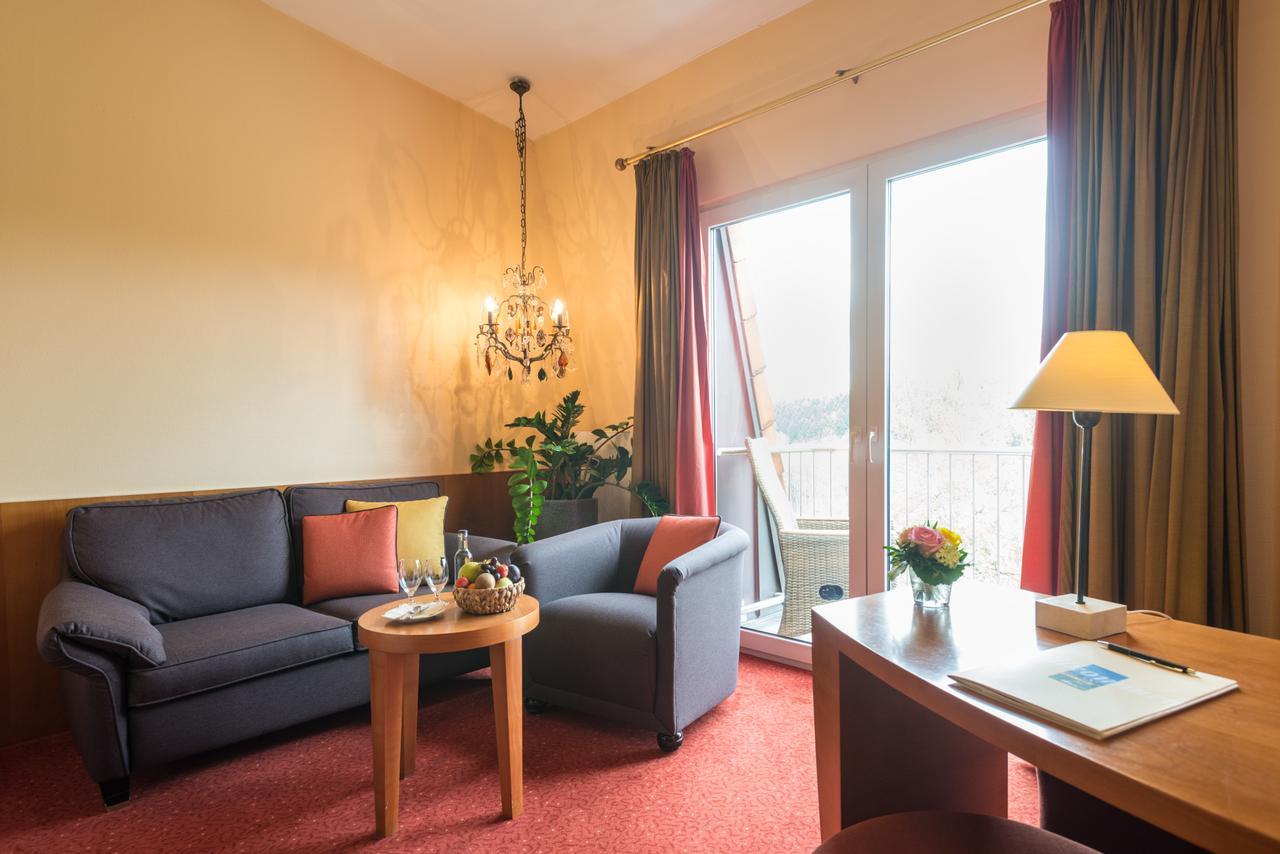 Hotel Heinz Höhr-Grenzhausen Oda fotoğraf